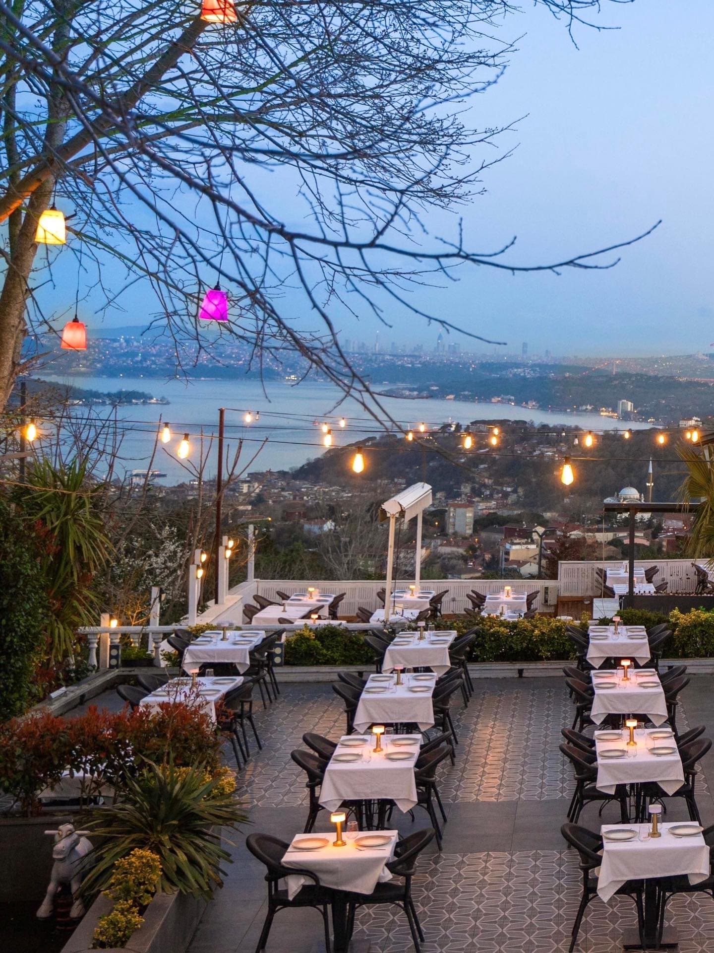 ÂLÂ Sarıyer gallery photo 4