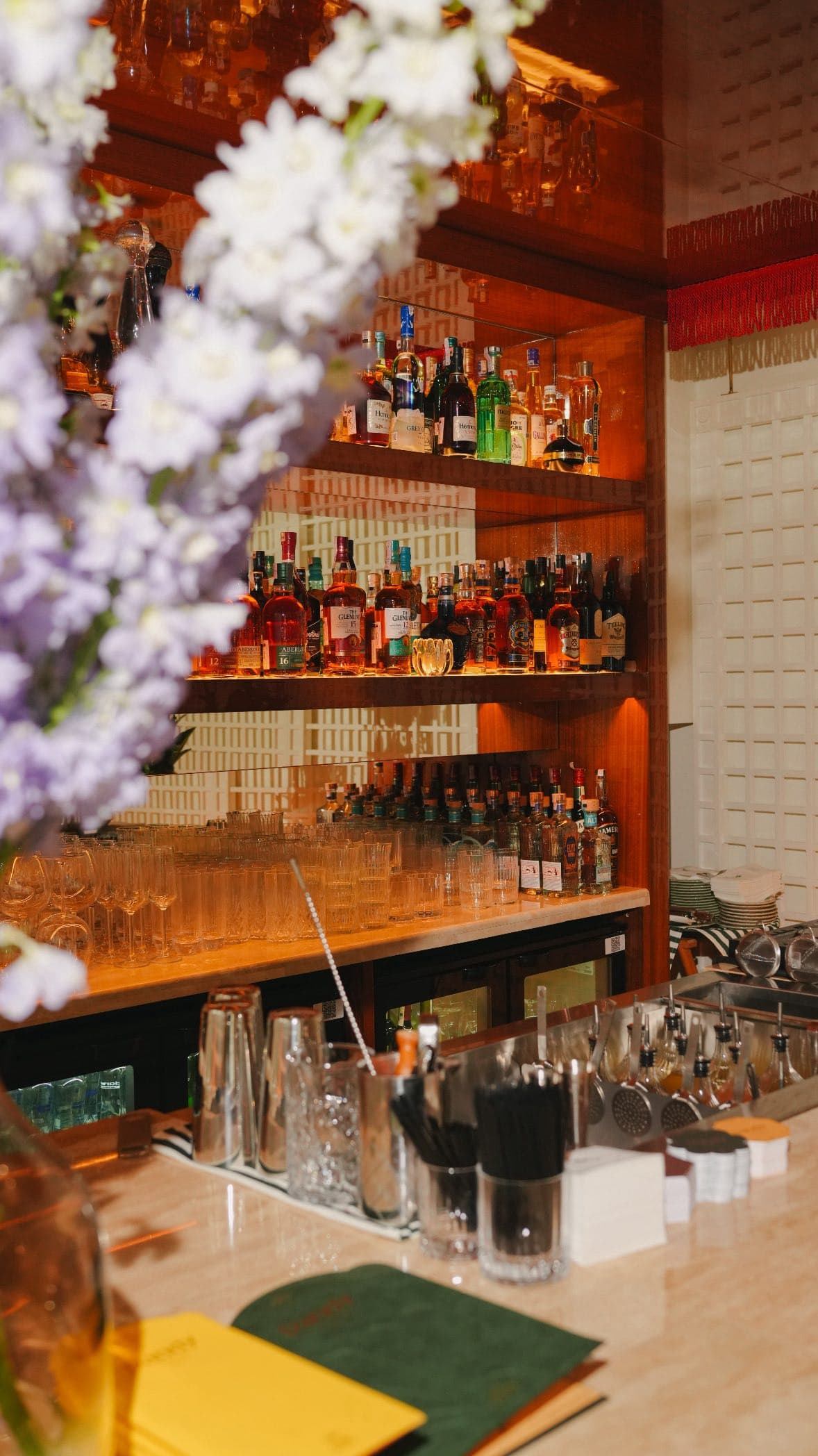 Dandy Istanbul gallery photo 6