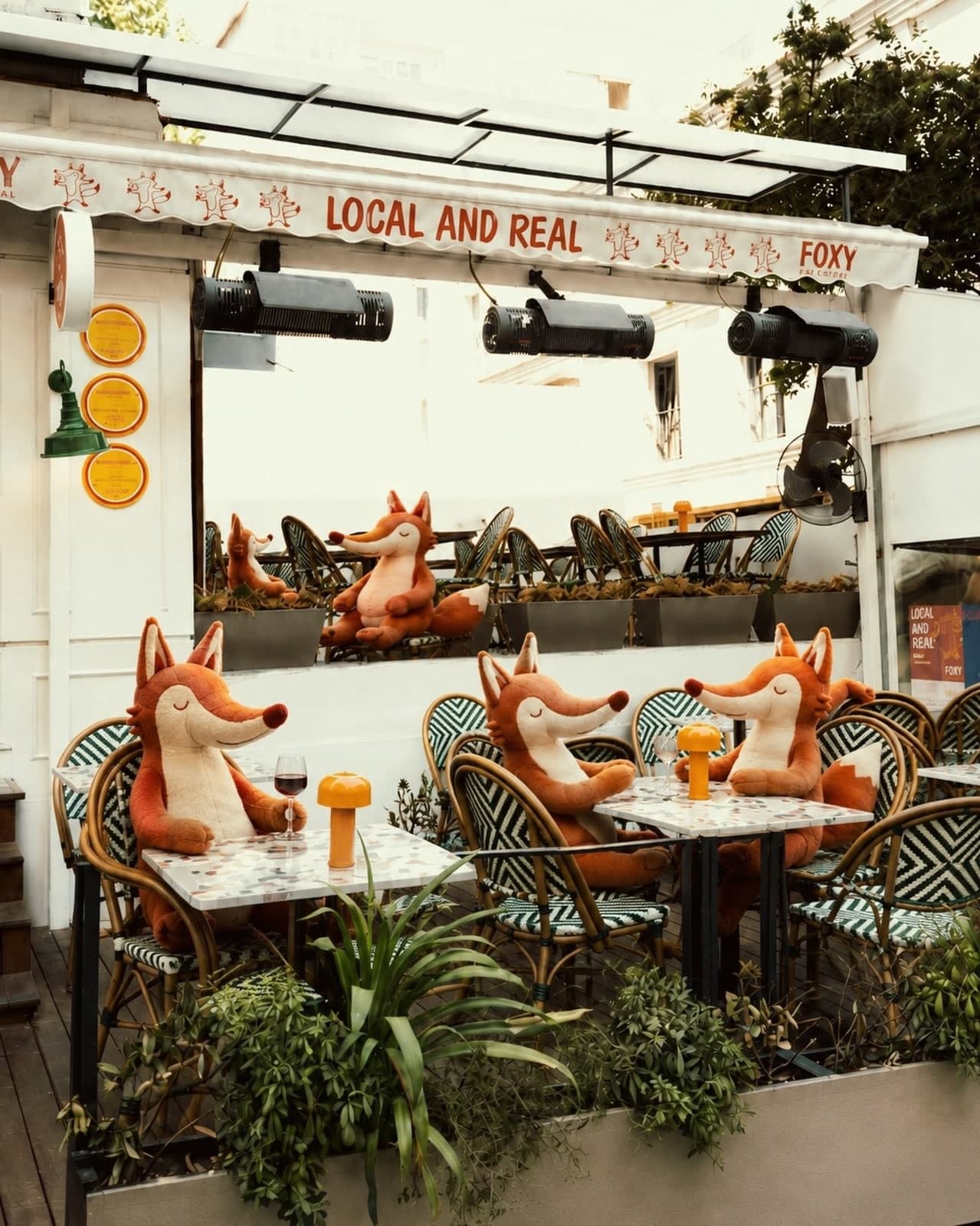 Foxy — Harbiye, İstanbul