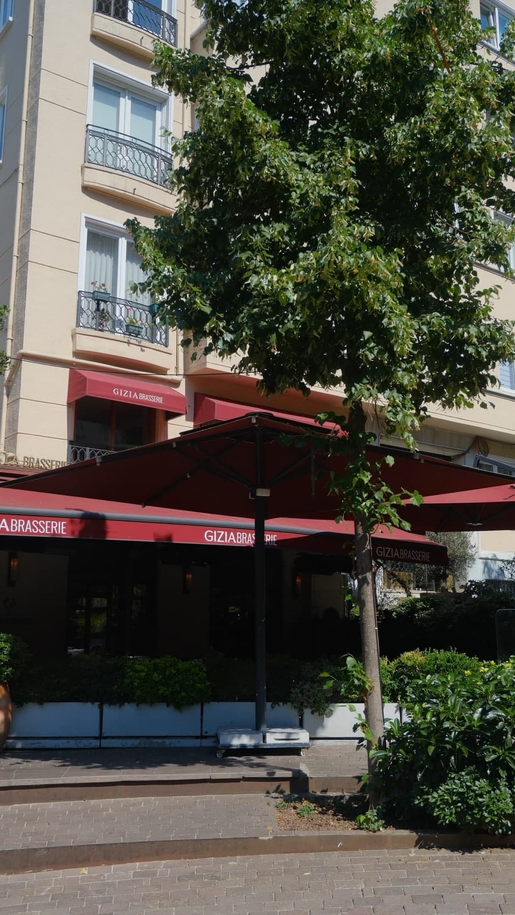 Gizia Brasserie gallery photo 9