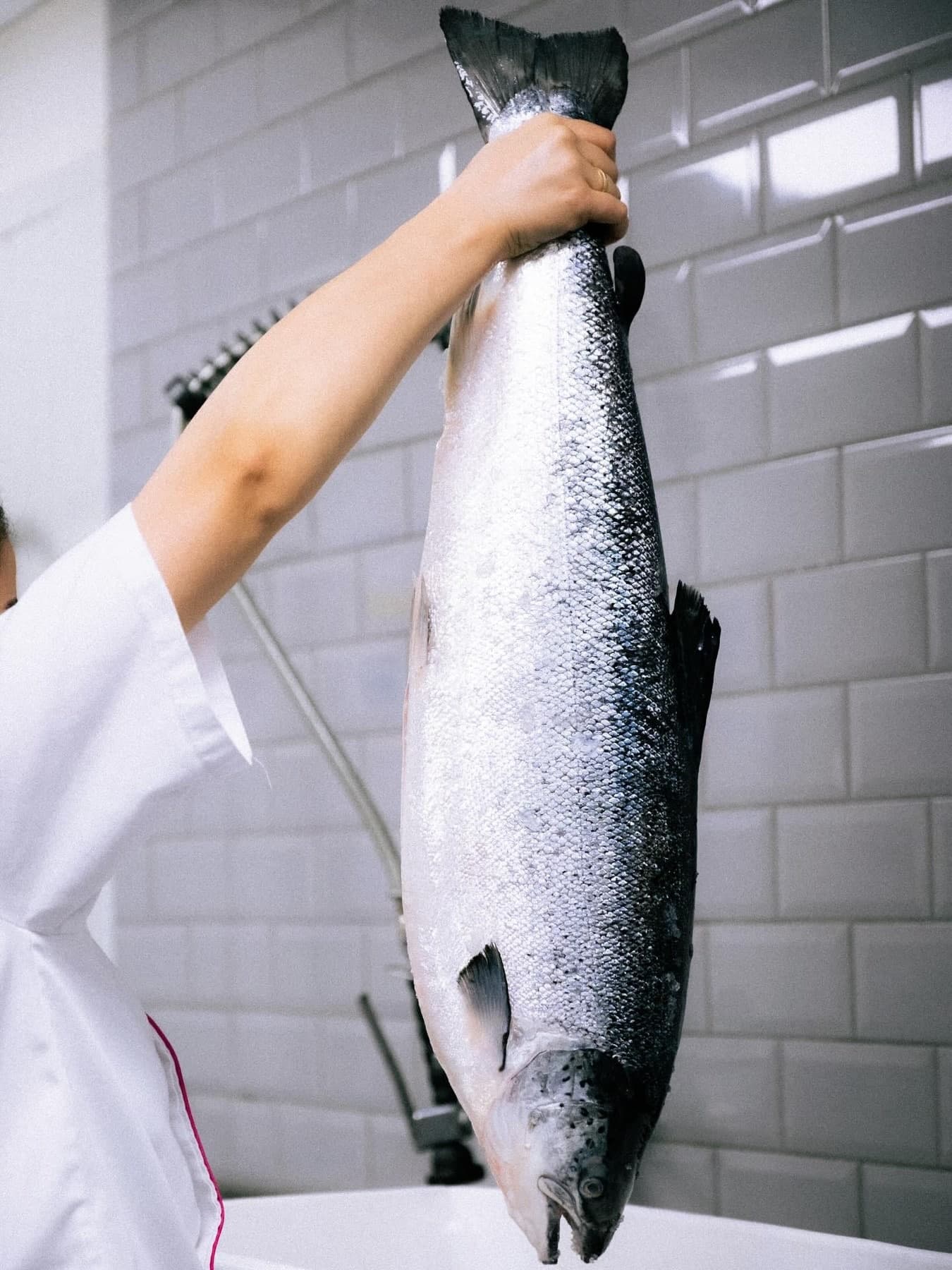 Inari Omakase gallery photo 10