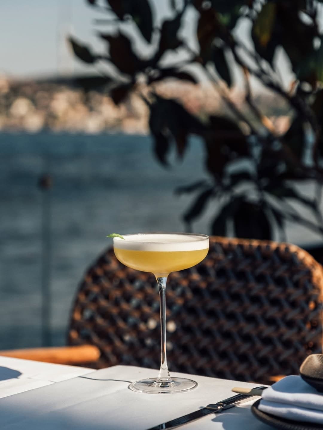 Novikov, Kuruçeşme gallery photo 5