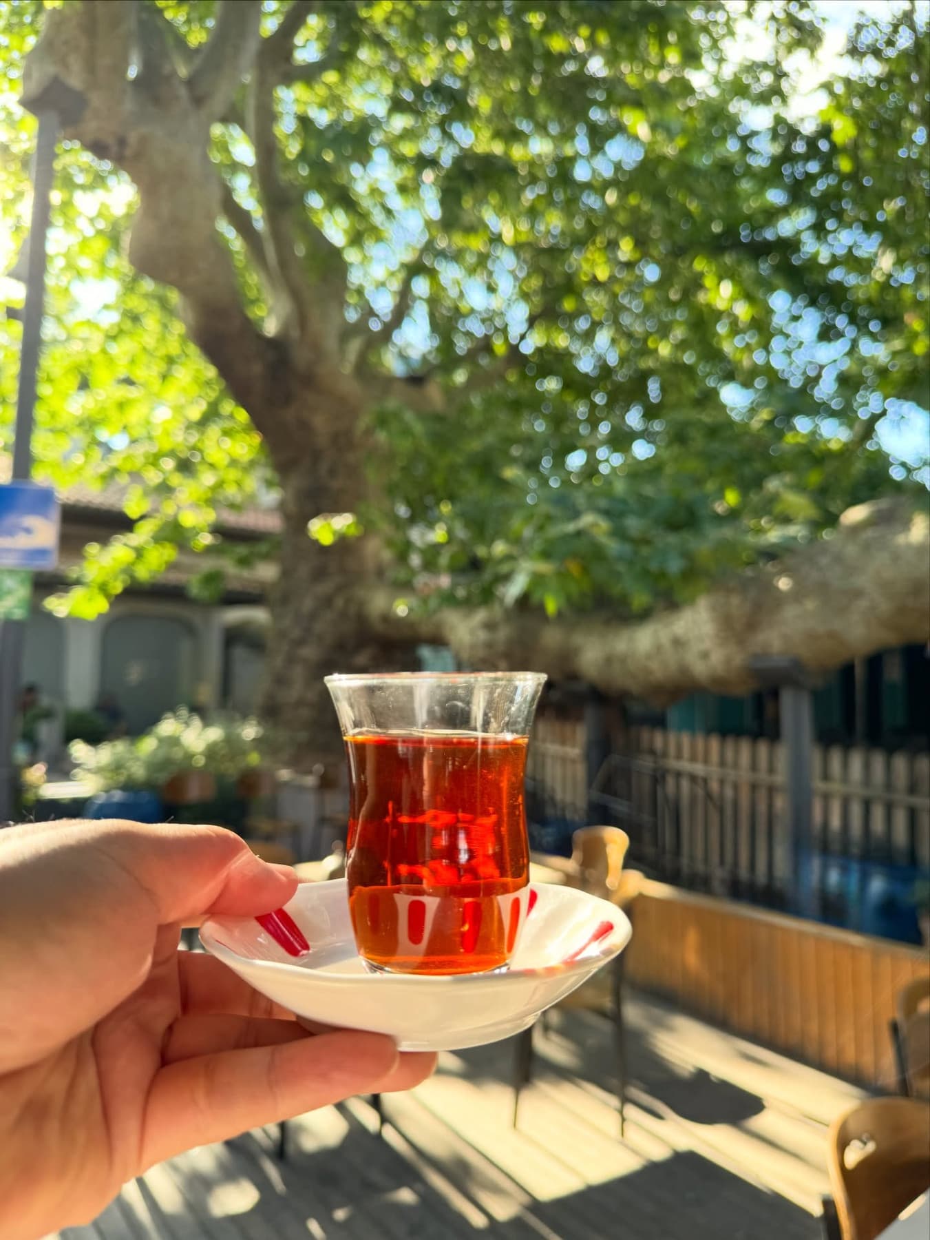 Tarihi Çınaraltı dining atmosphere