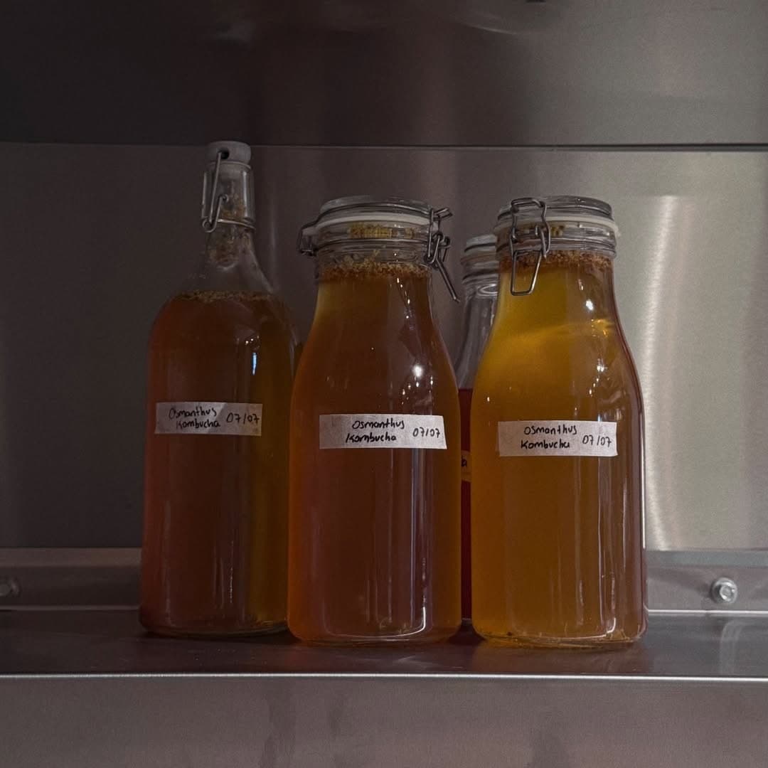 Neroli Daylight Kitchen gallery photo 4