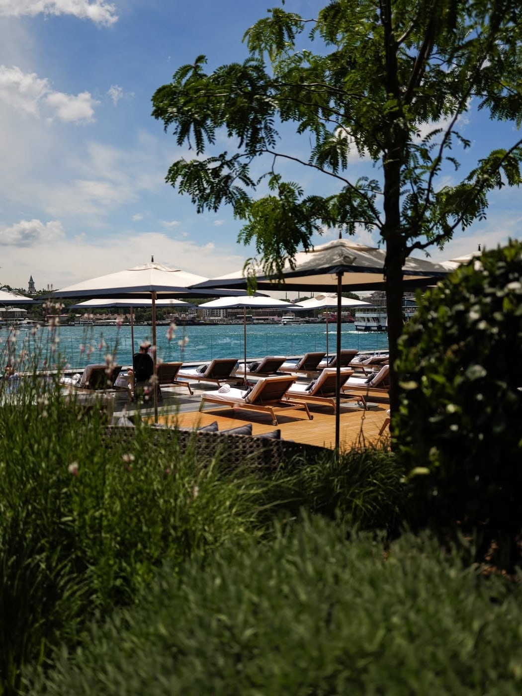 Abelia x Diego Guerrero restoranının özenli iç mekânı ve atmosferi