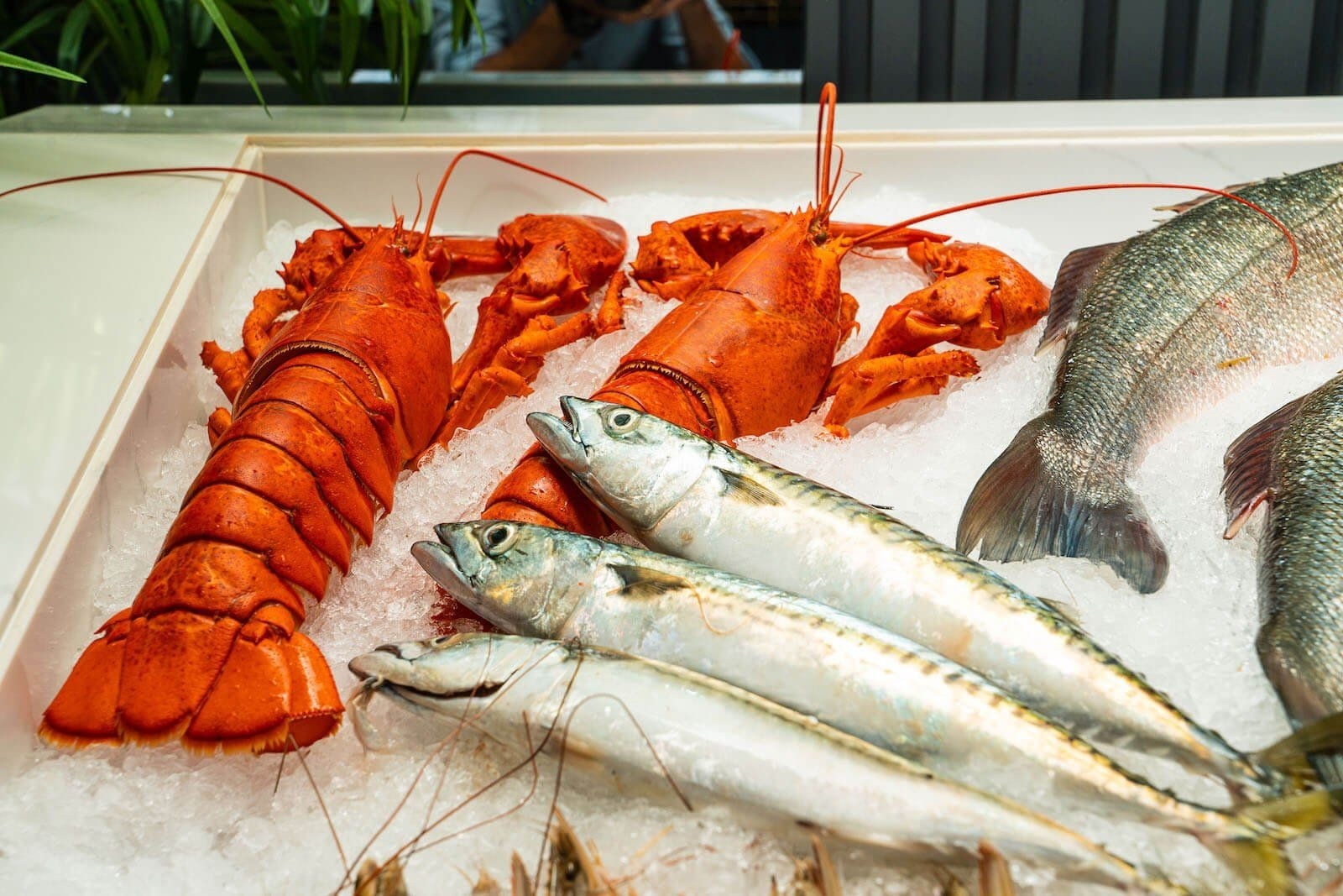 A carefully presented dish from Adella Seafood