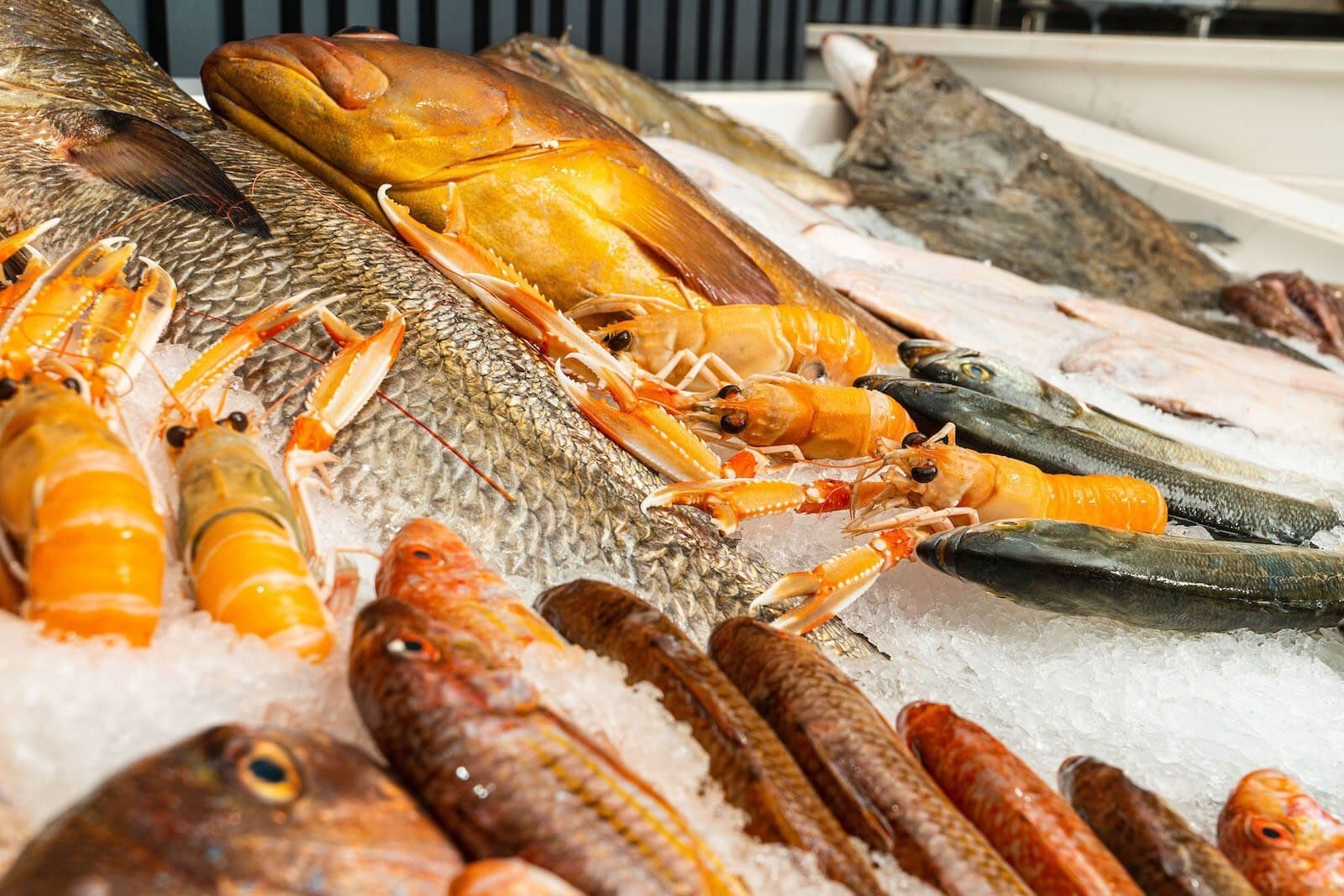 A carefully presented dish from Adella Seafood