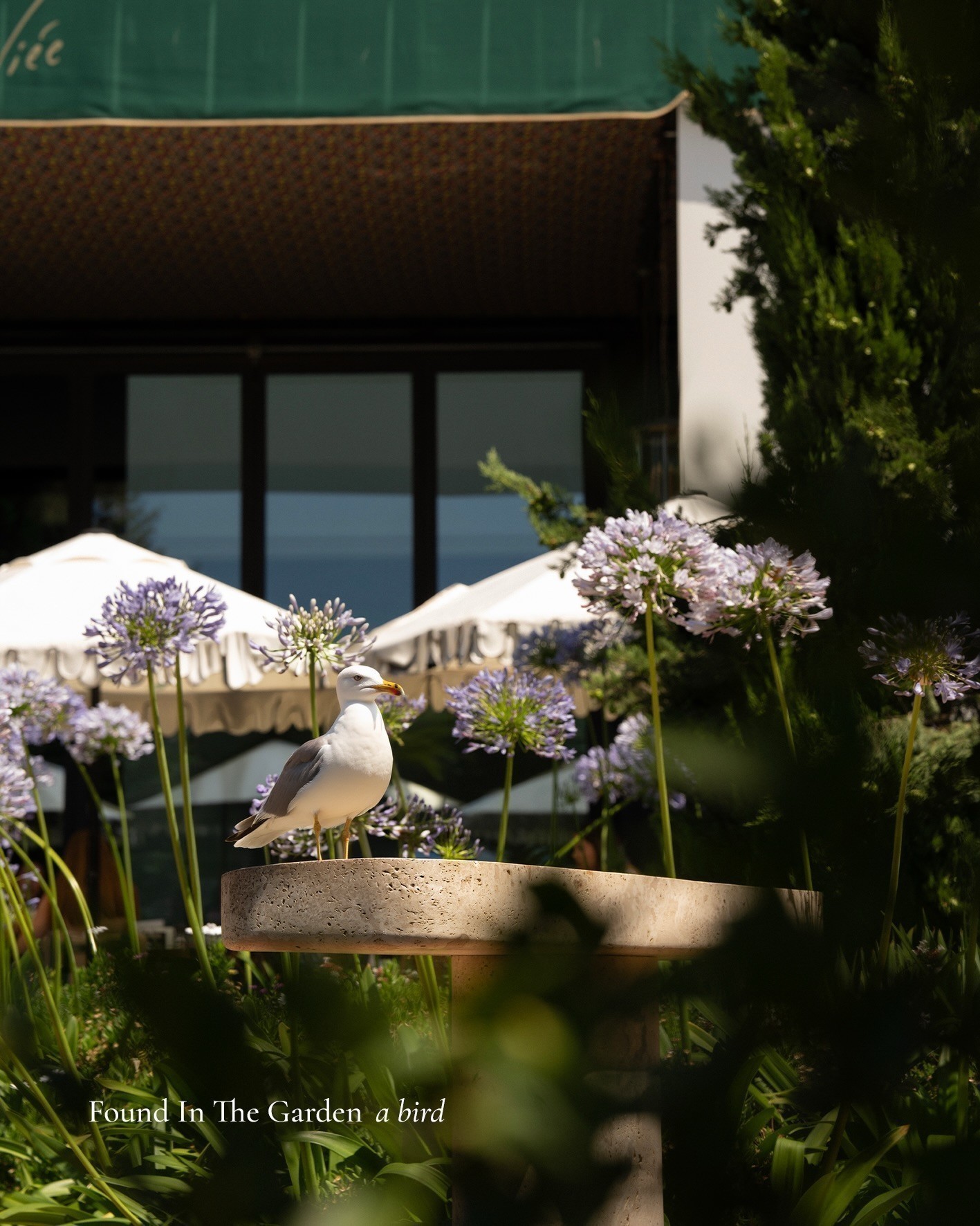 The dining atmosphere at Aliée İstanbul