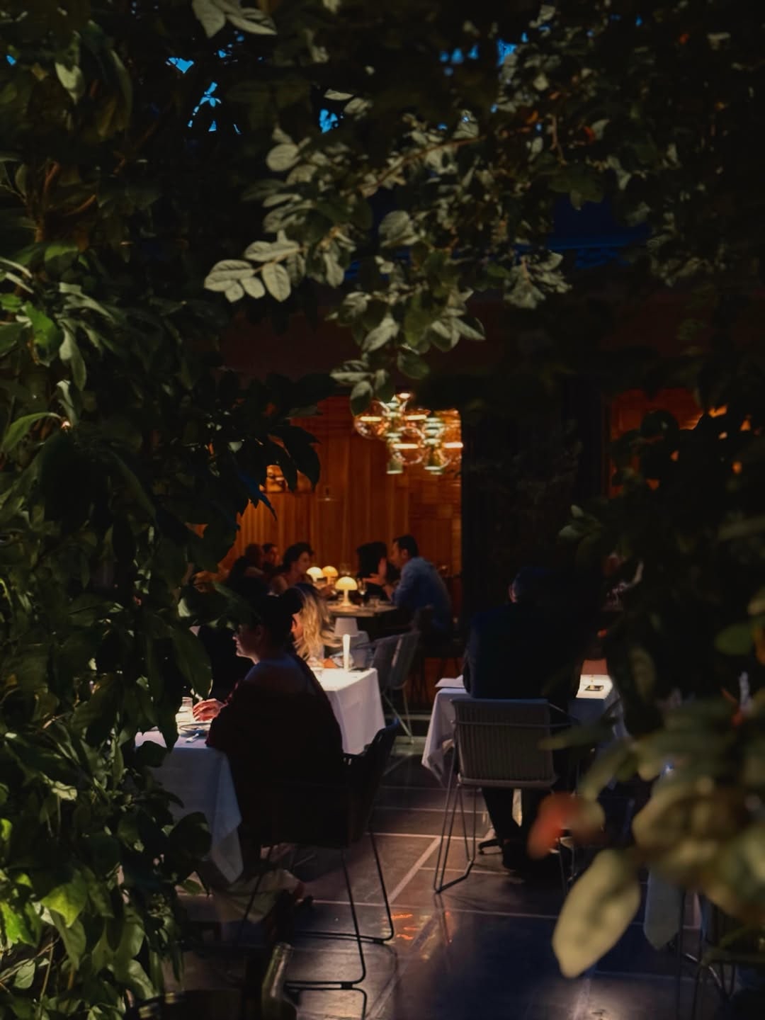 A view of Arkestra restaurant and its cuisine