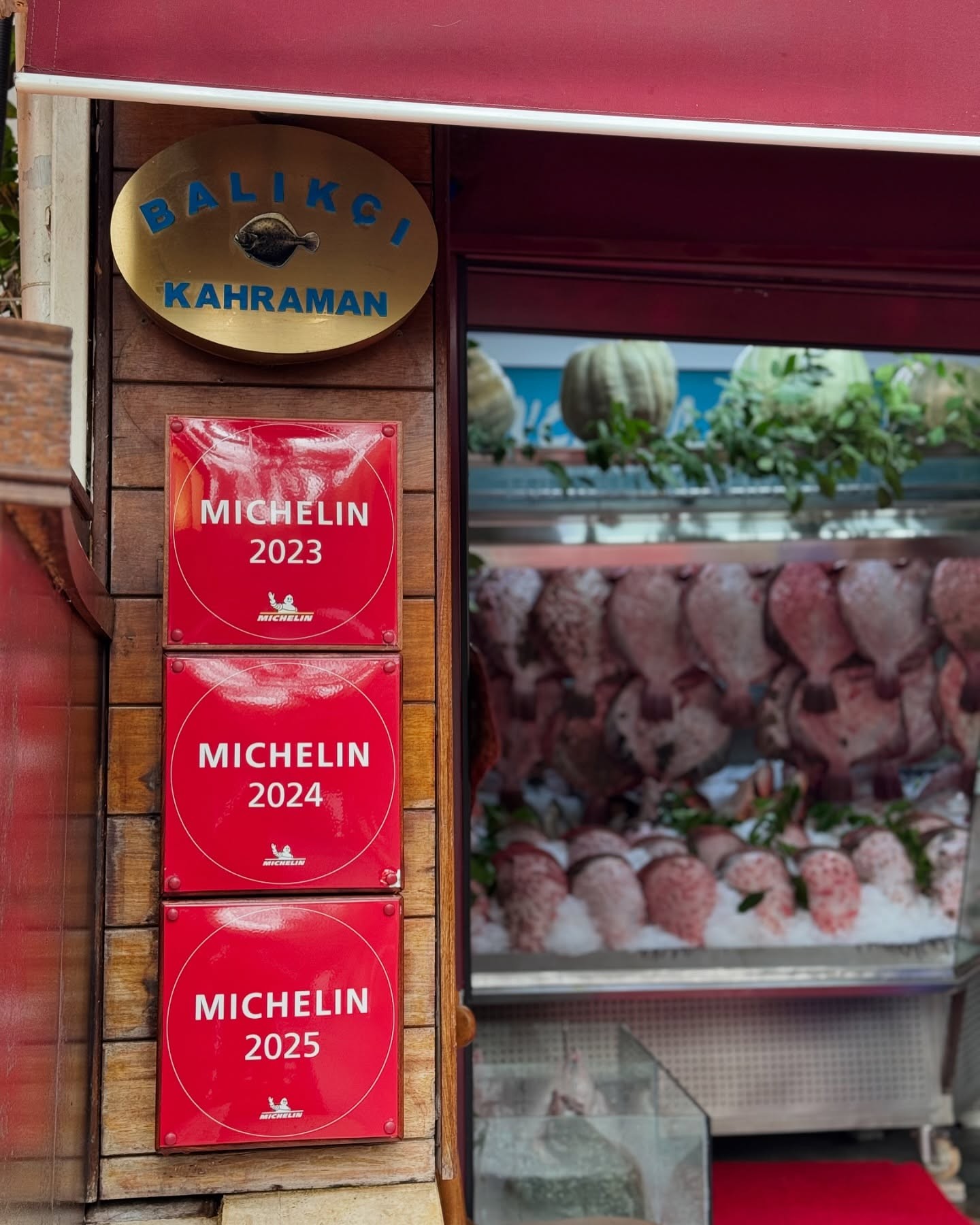 A carefully presented dish from Balıkçı Kahraman