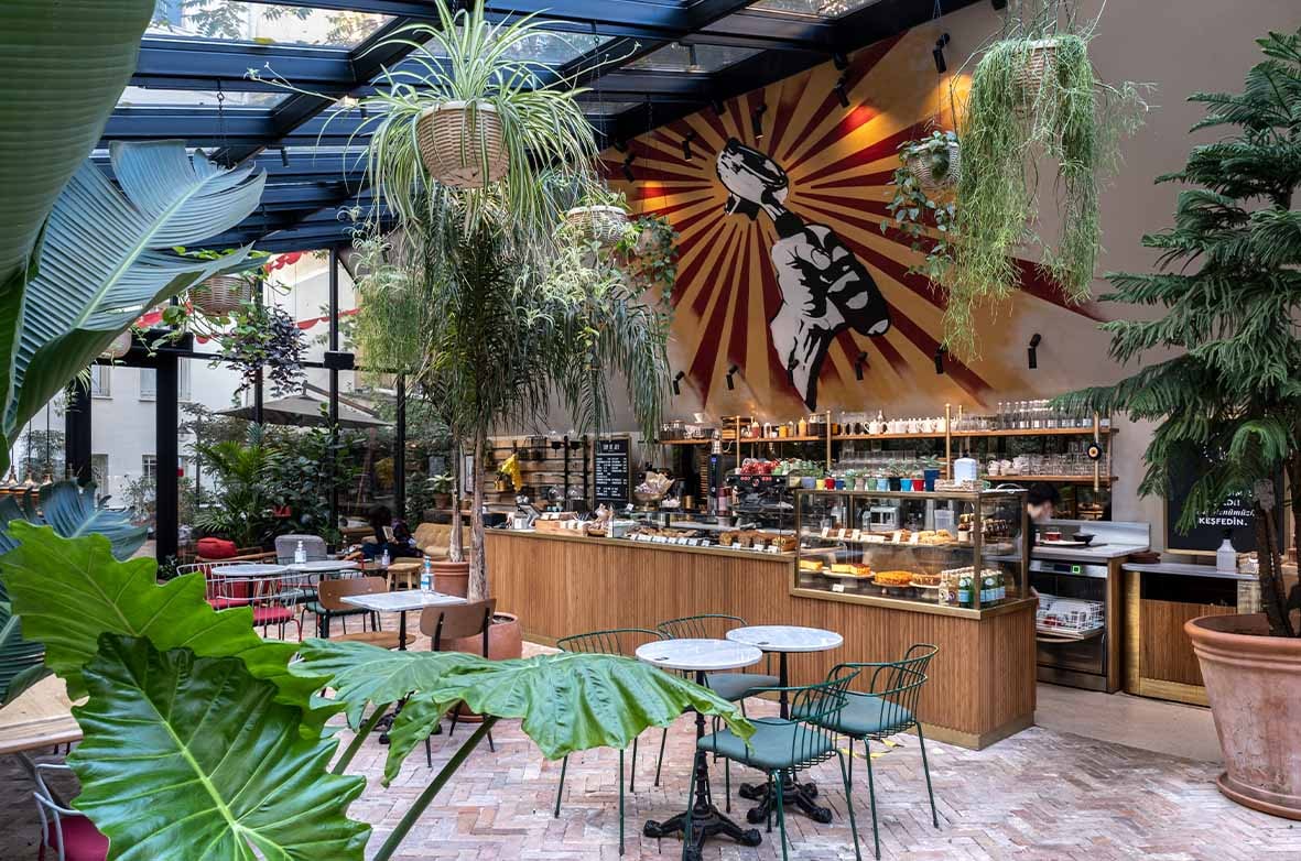 The plant-filled winter garden at Cup of Joy Nişantaşı
