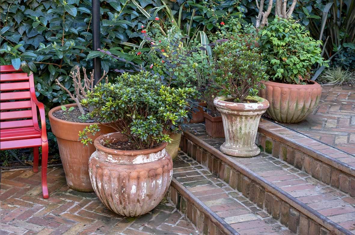 Landscaping details in the Cup of Joy Nişantaşı garden