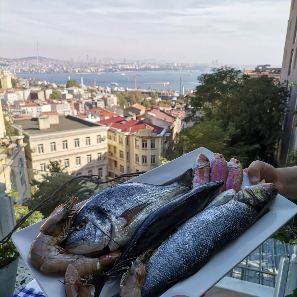 Eleos Beyoğlu: geleneksel lezzet tabağı