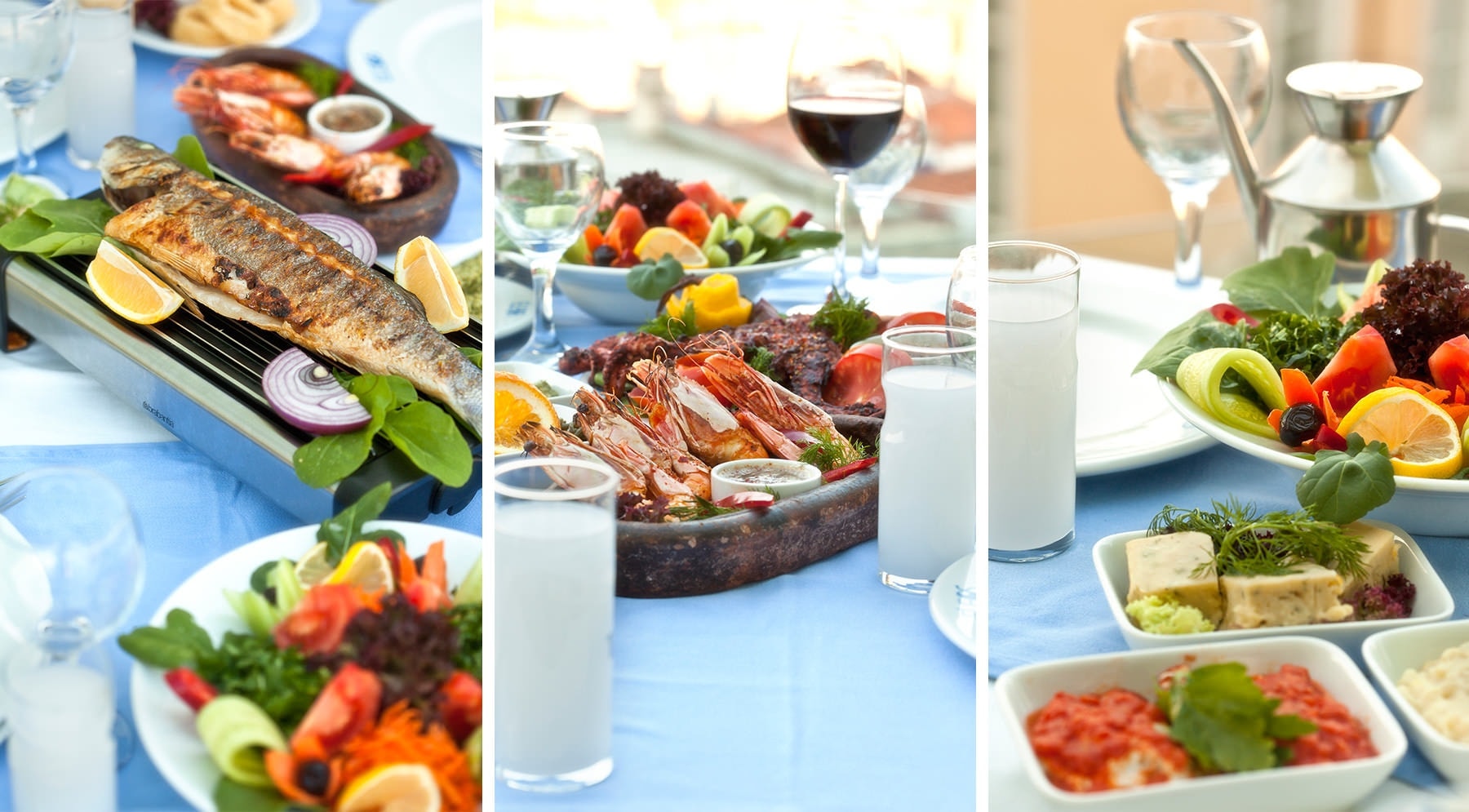 A carefully presented dish from Eleos Yeşilköy