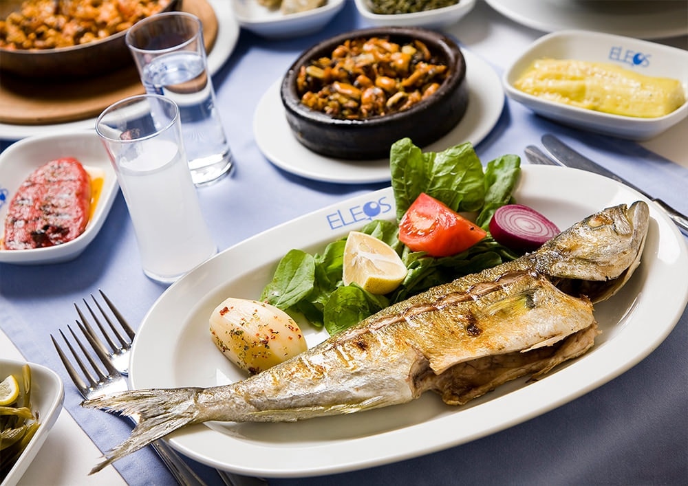 A carefully presented dish from Eleos Yeşilköy