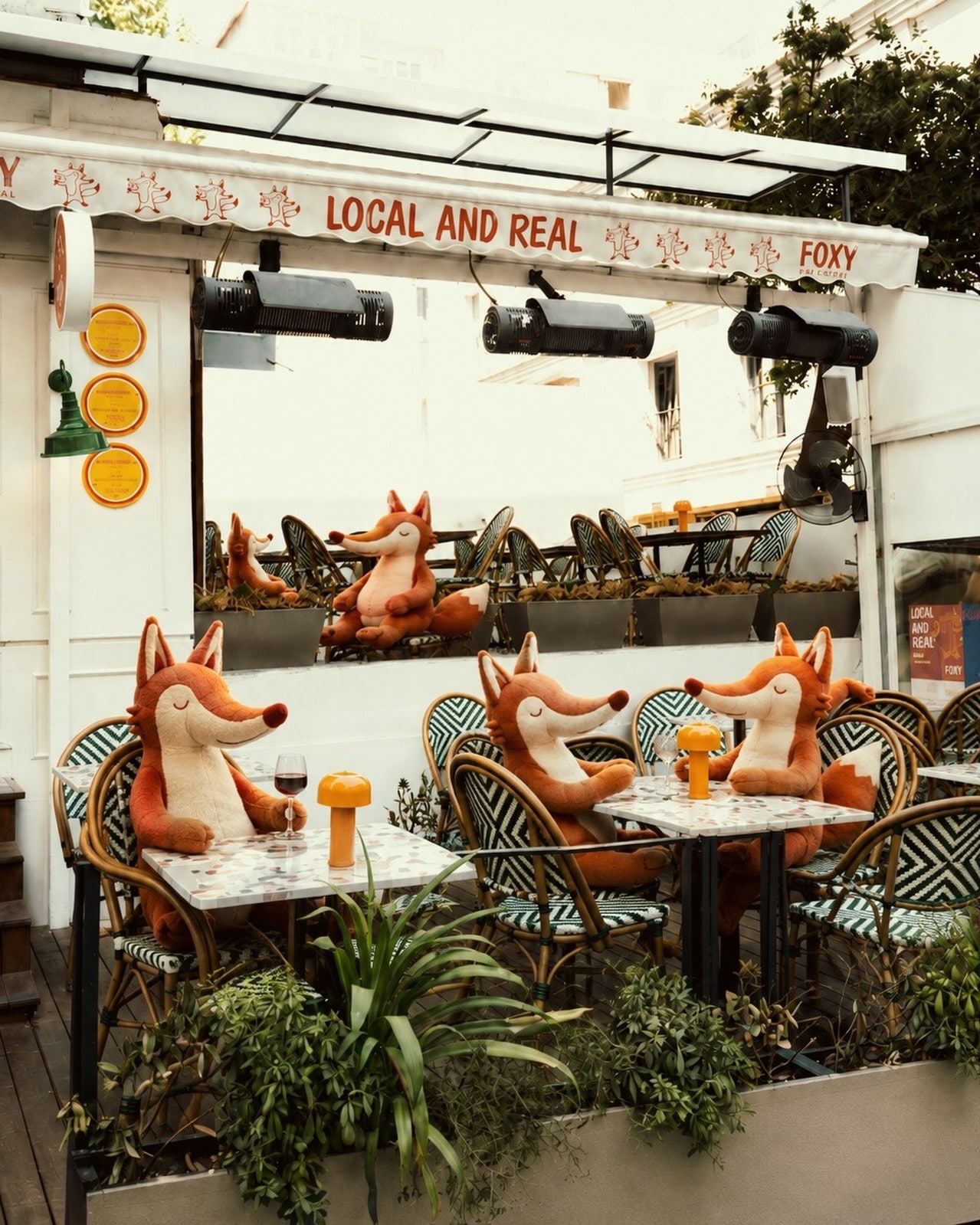 A view of Foxy restaurant and its cuisine