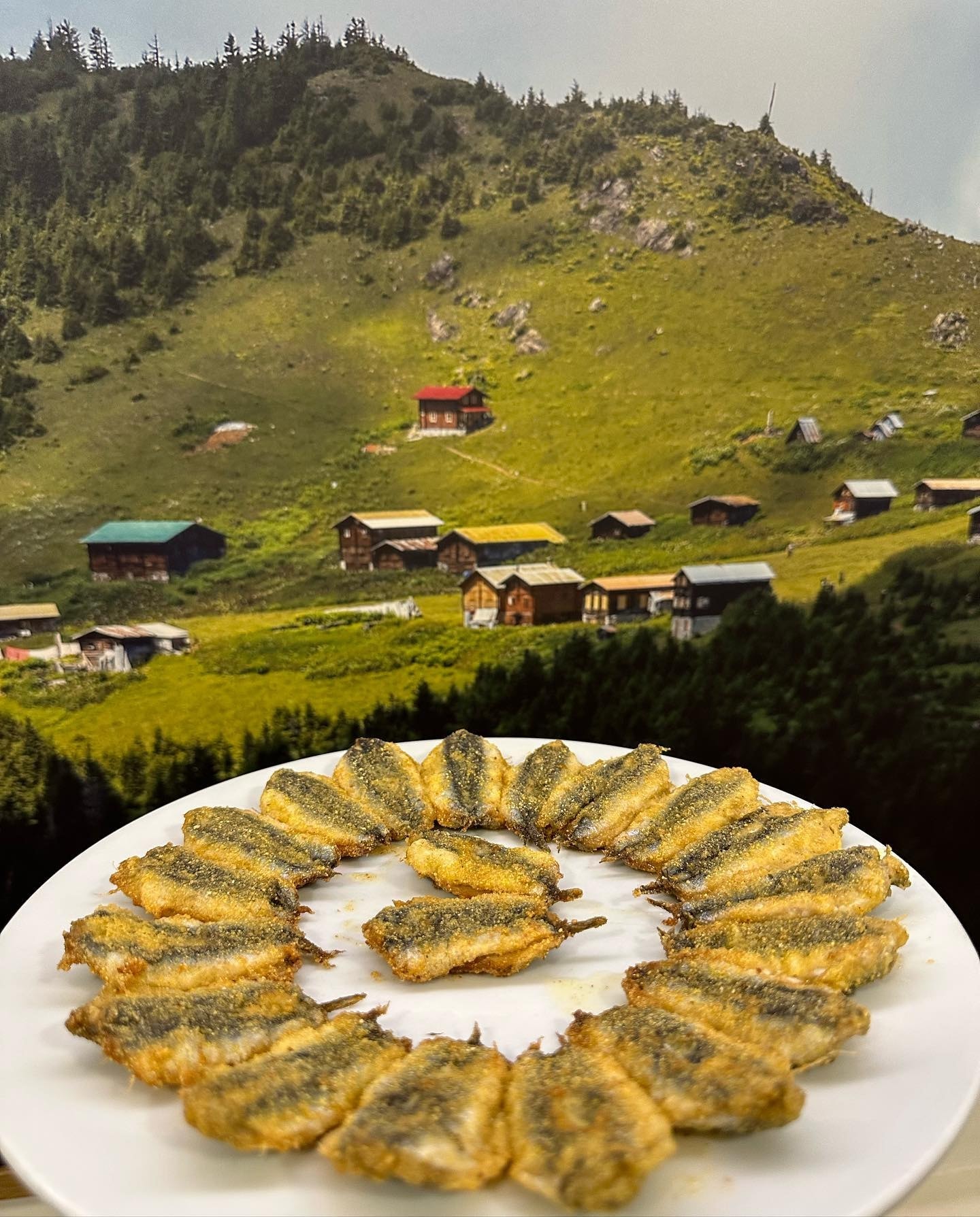 A carefully presented dish from Hayvore