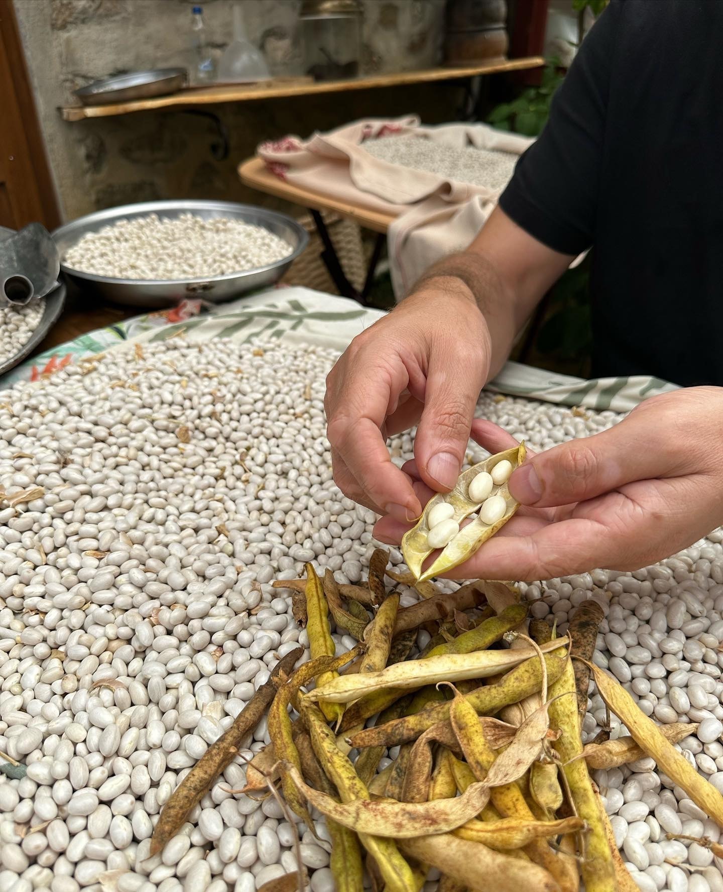 A carefully presented dish from Hayvore