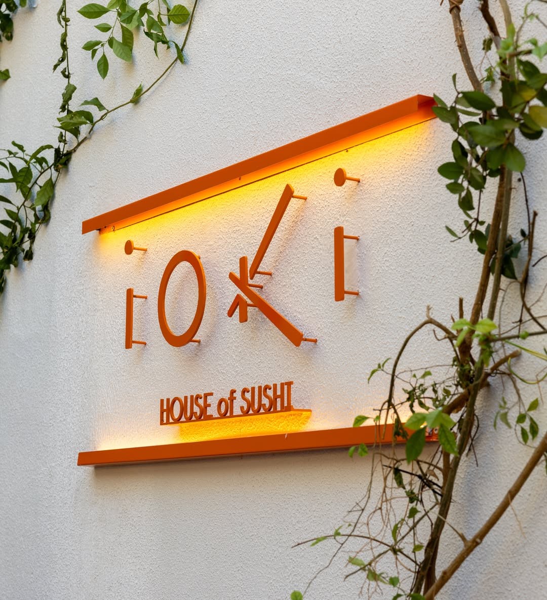 A carefully presented dish from Ioki Kandilli