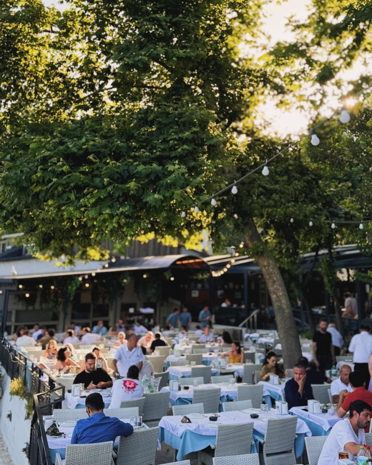 Koço Restaurant'ın deniz manzaralı bahçesi