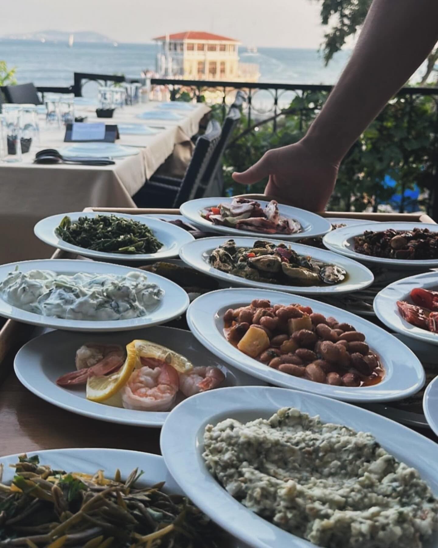 Koço'nun ağaçlar altındaki açık alanı