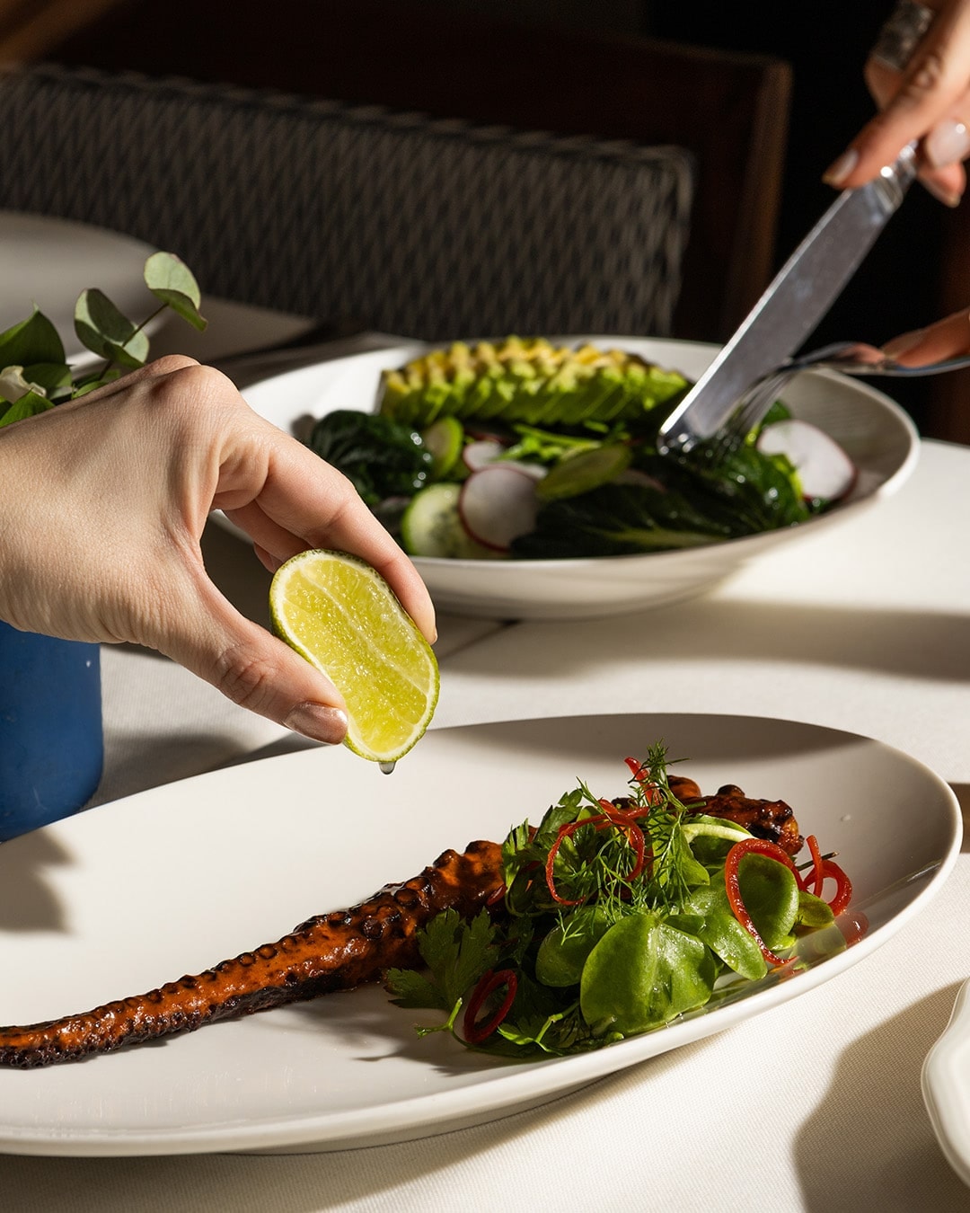 Lacivert: a hot plate from the kitchen