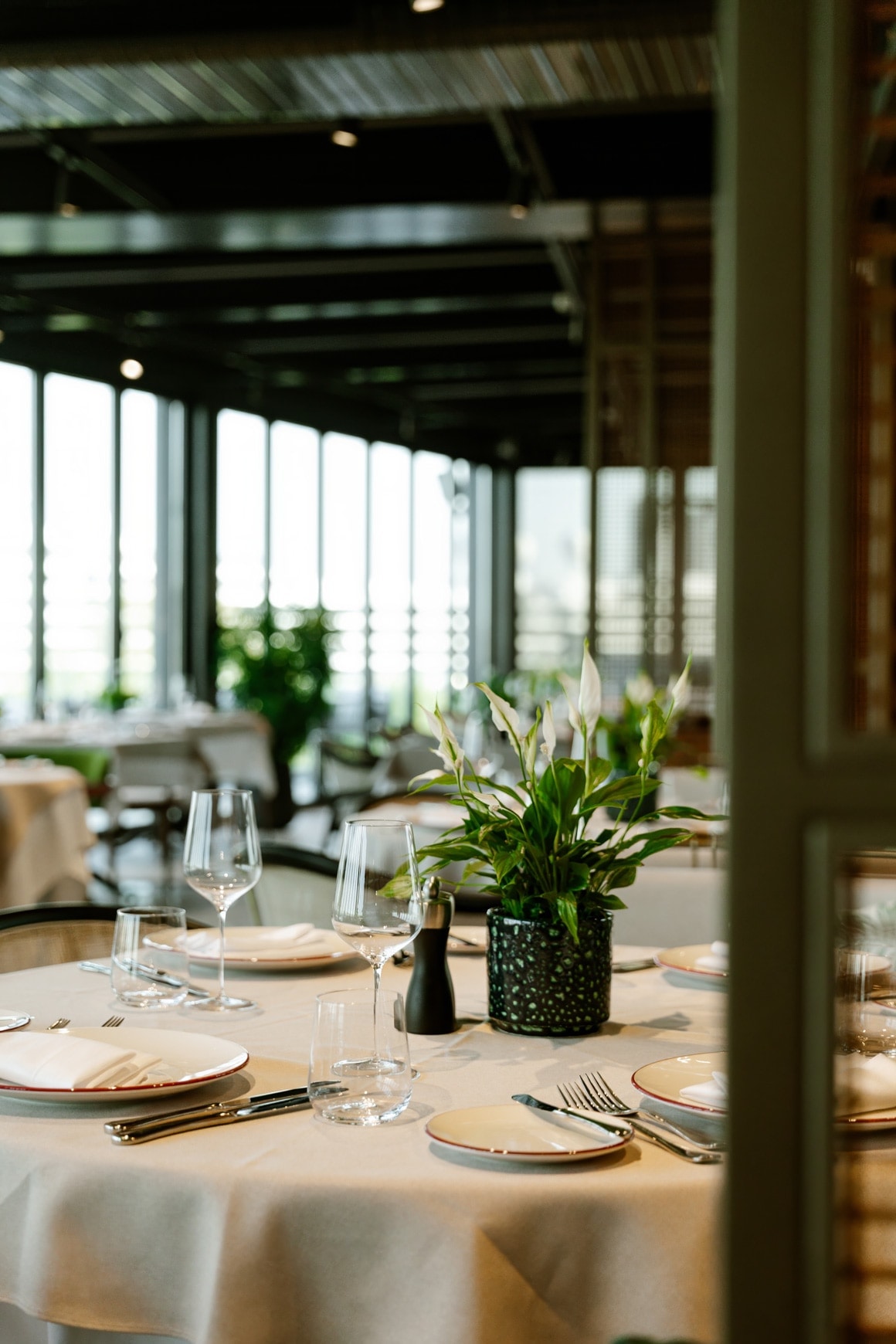 Restaurant atmosphere at Lina Anatolian Kitchen