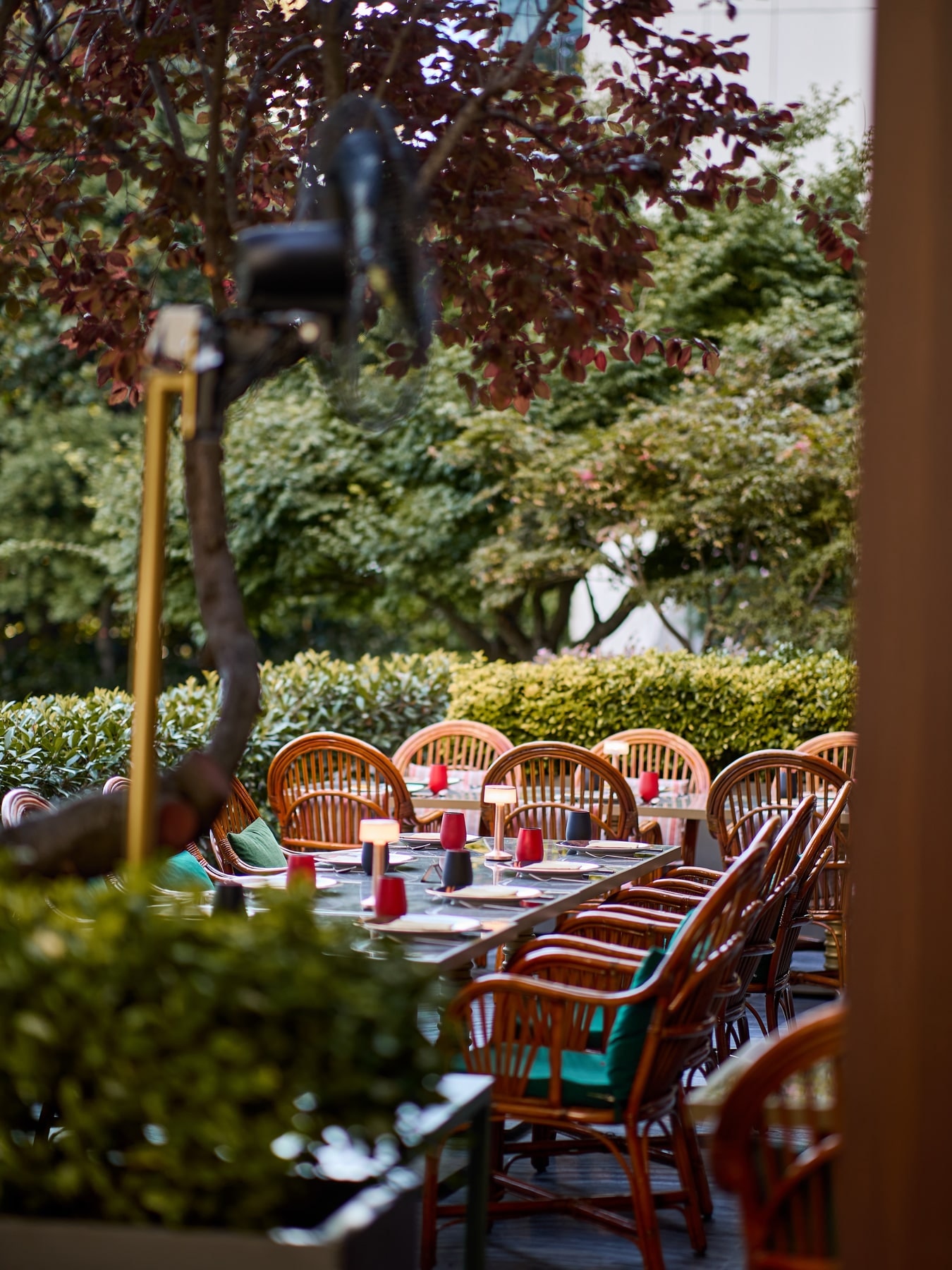 Madhu's Istanbul: the daylight-filled dining room