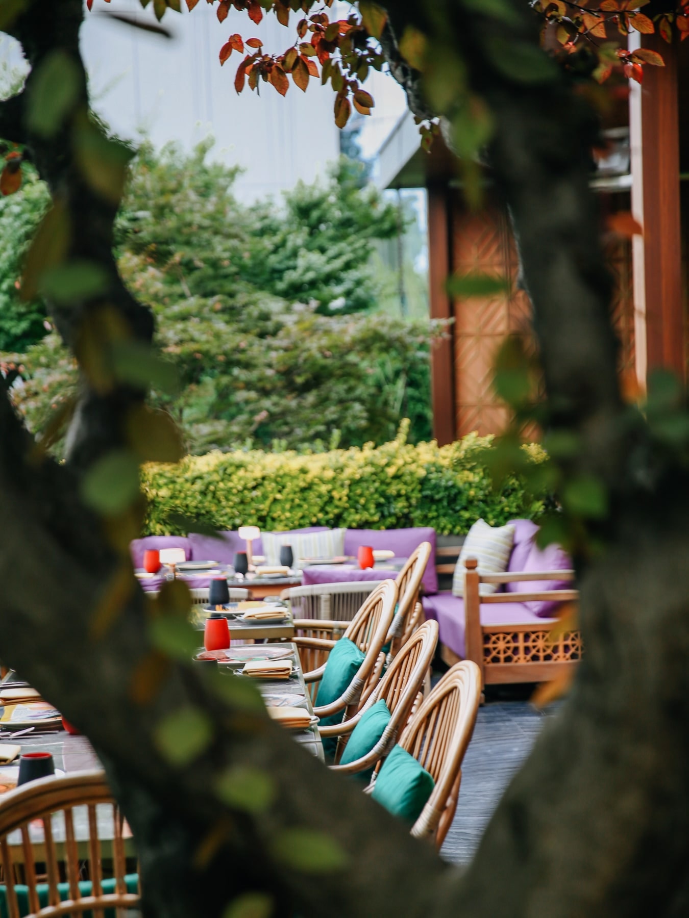Madhu's Istanbul: the outdoor dining area