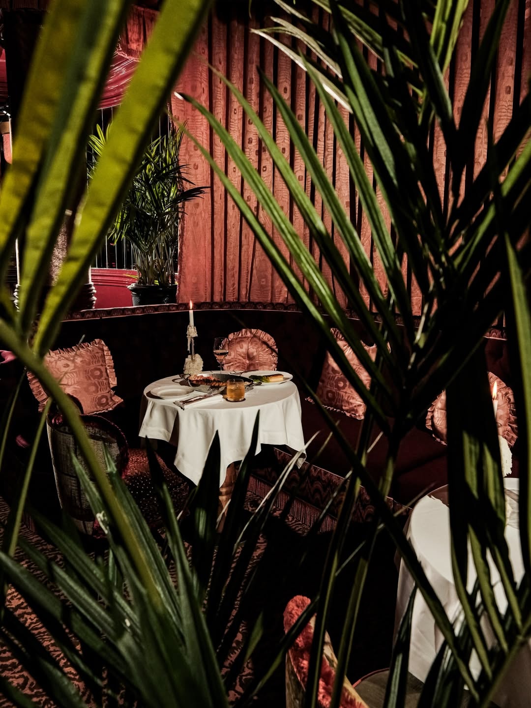 A set table framed by palms at Mondaine de Pariso Istanbul