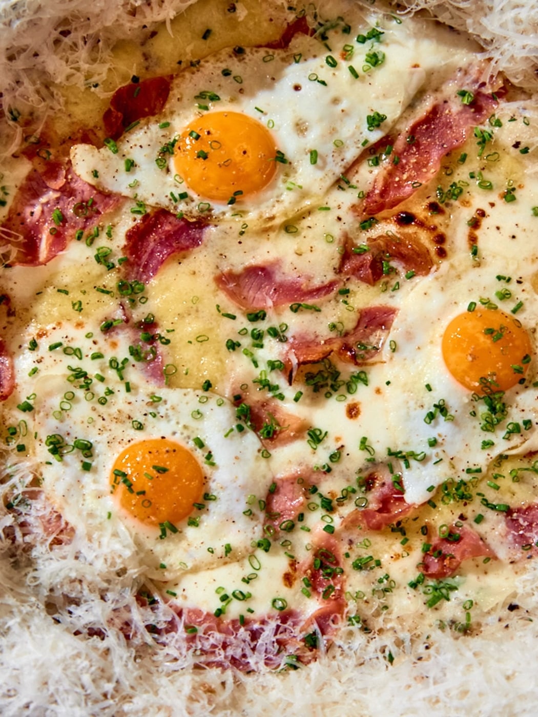 A carefully prepared dish from NAPPO Trattoria