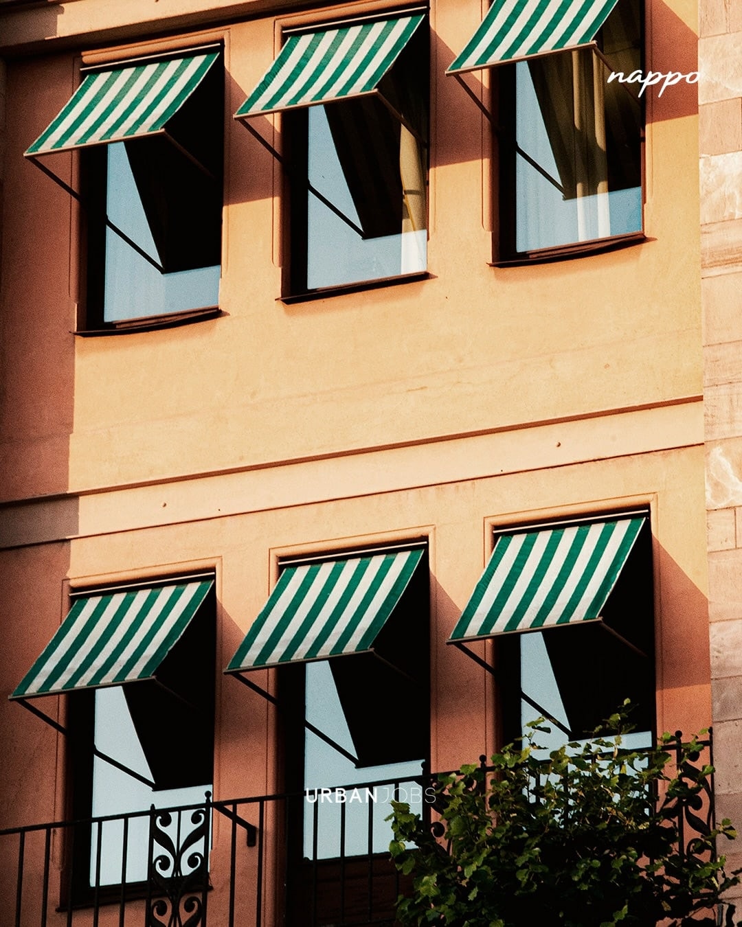 The considered interior and atmosphere at NAPPO Trattoria
