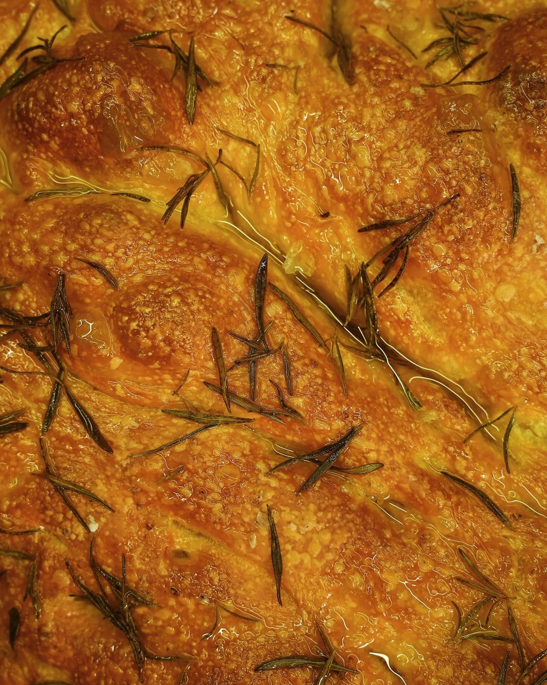 A carefully prepared dish from NAPPO Trattoria