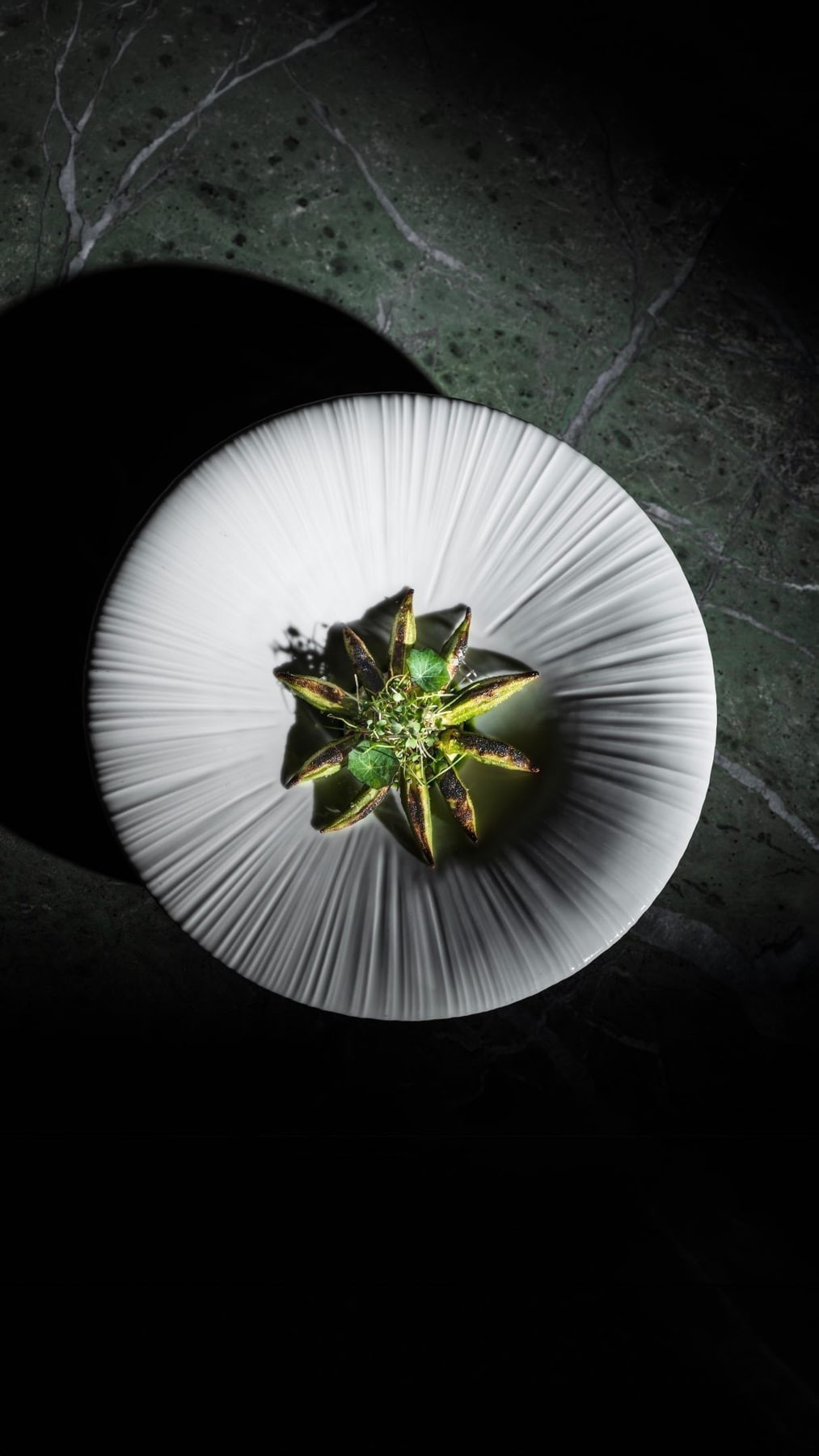 A carefully presented dish from Octo İstanbul