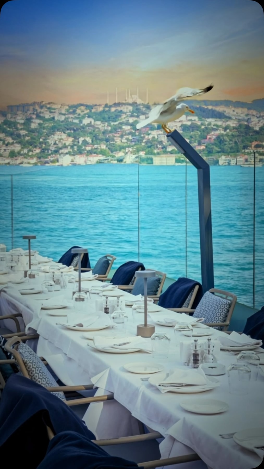 Park Fora: the restaurant interior