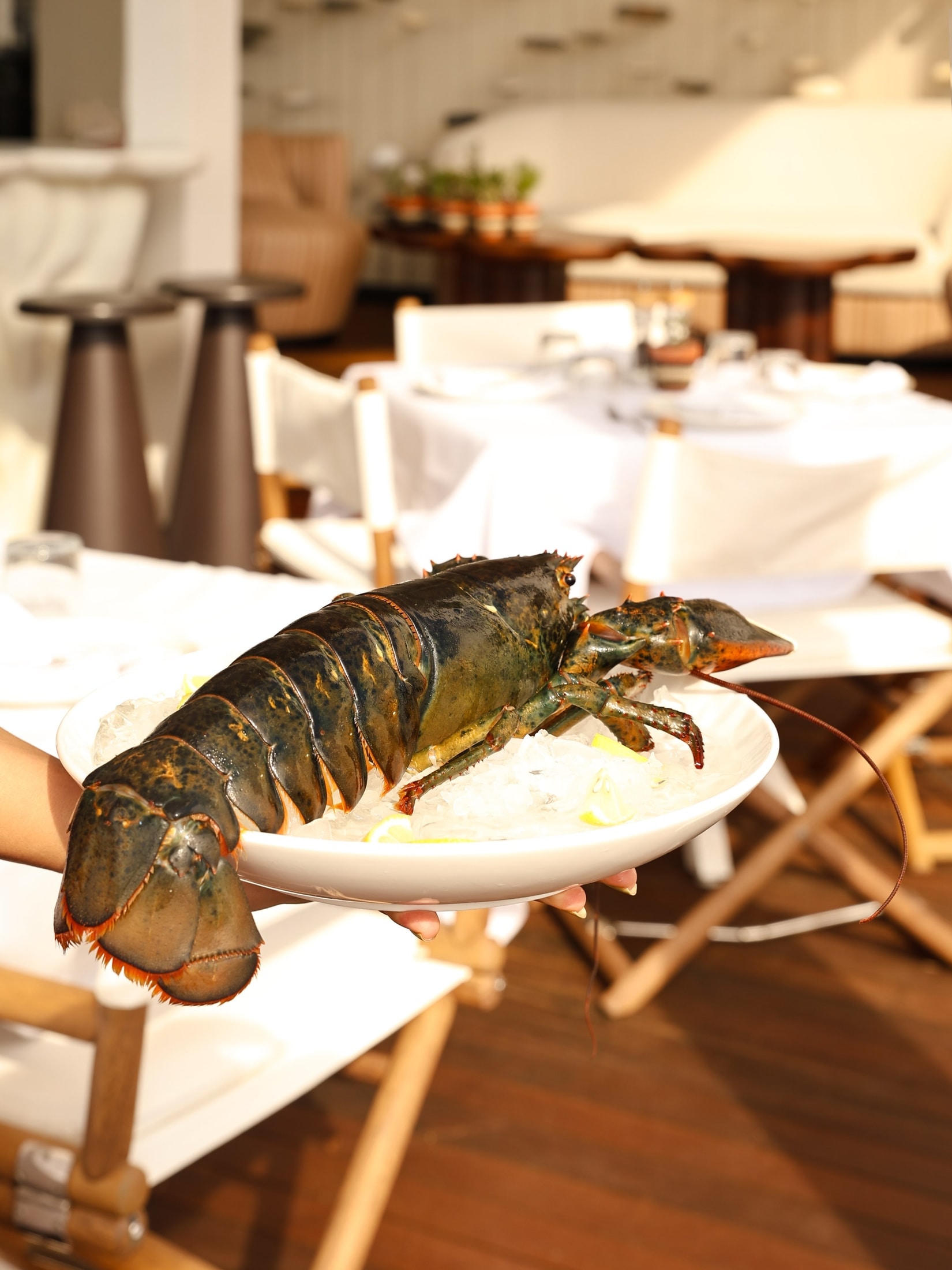 A carefully presented dish from Parlé İstanbul