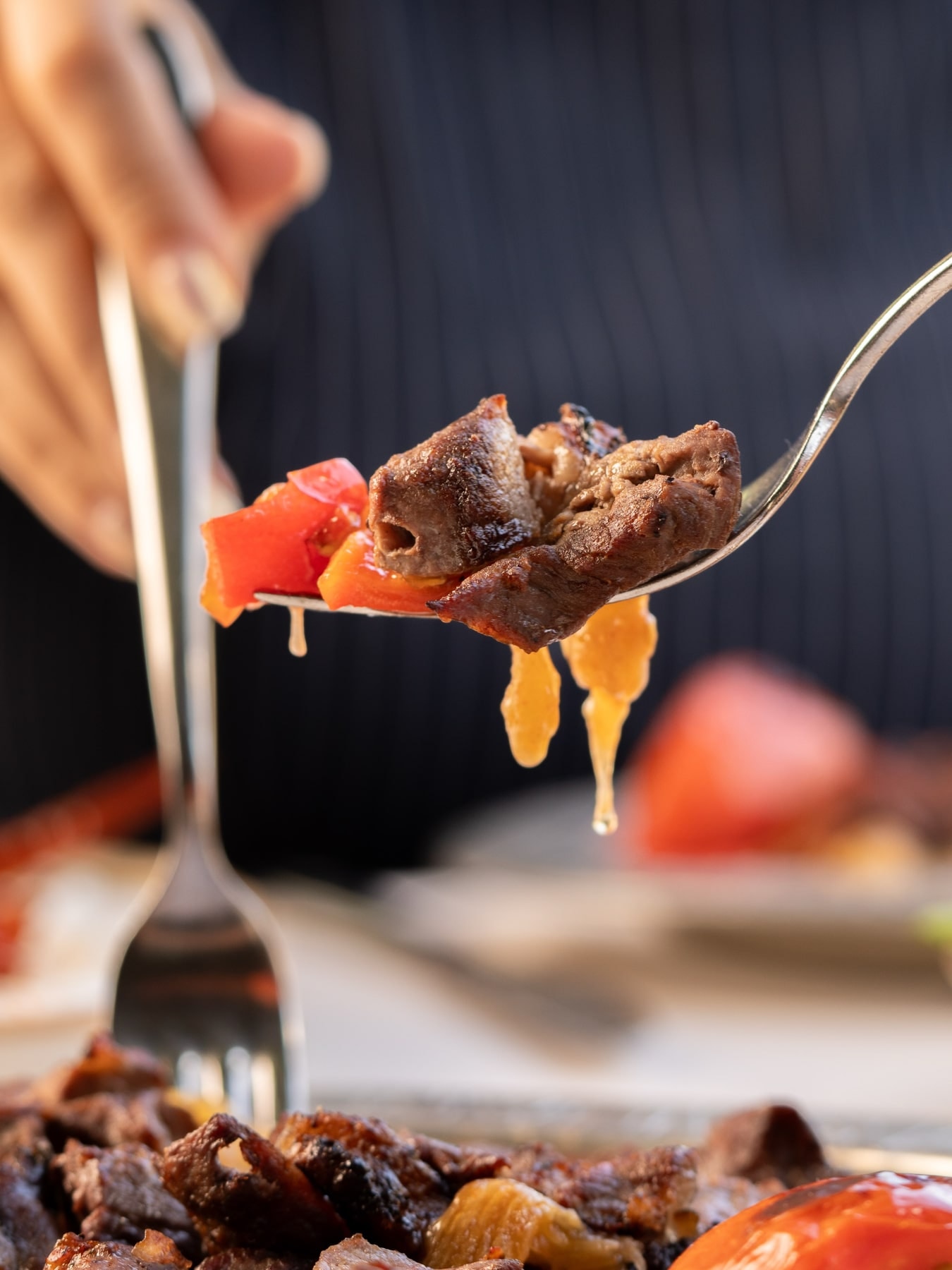 A carefully presented dish from Sahan Kurtköy