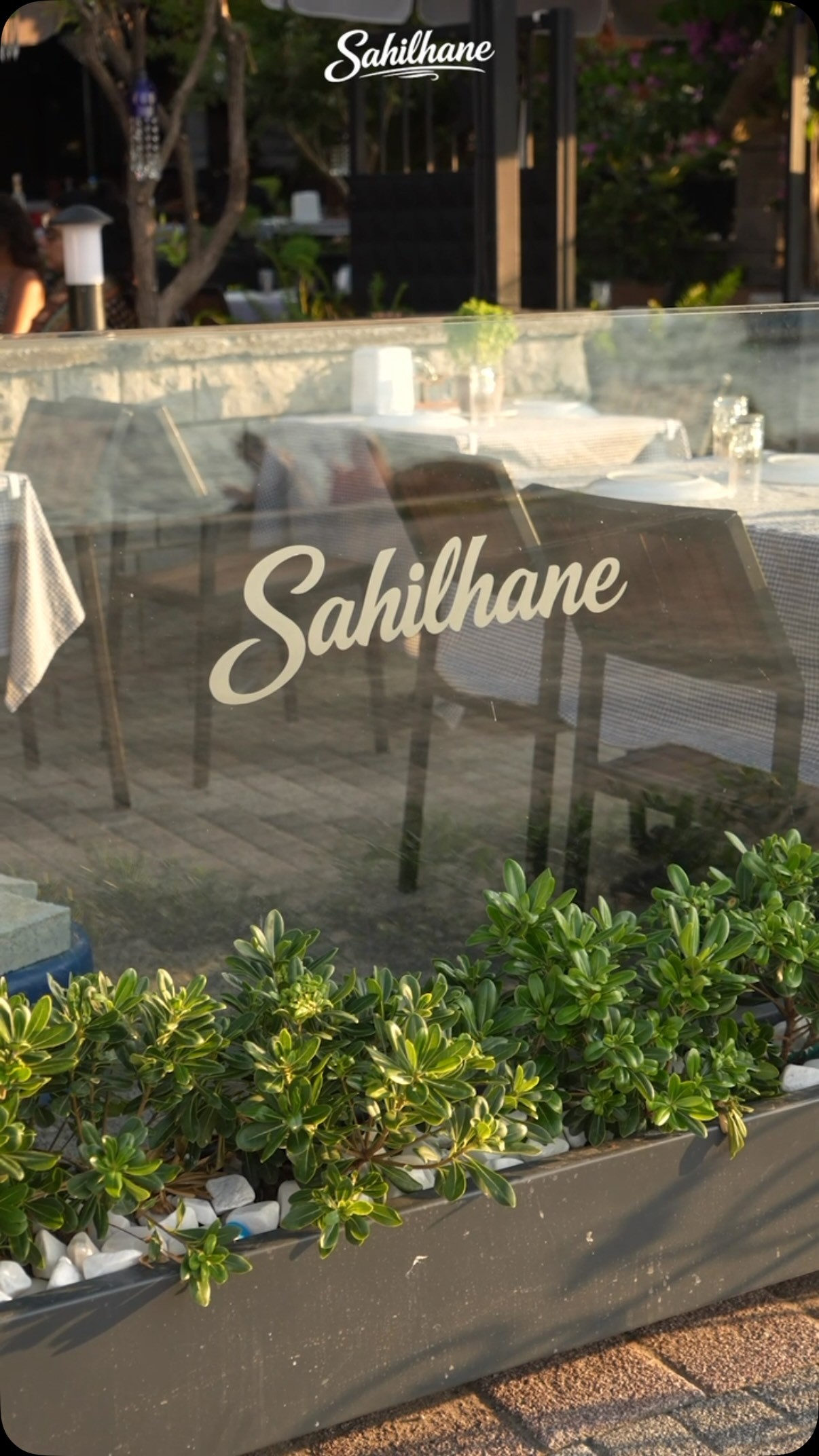 Sahilhane Büyükada mutfağından özenli bir tabak
