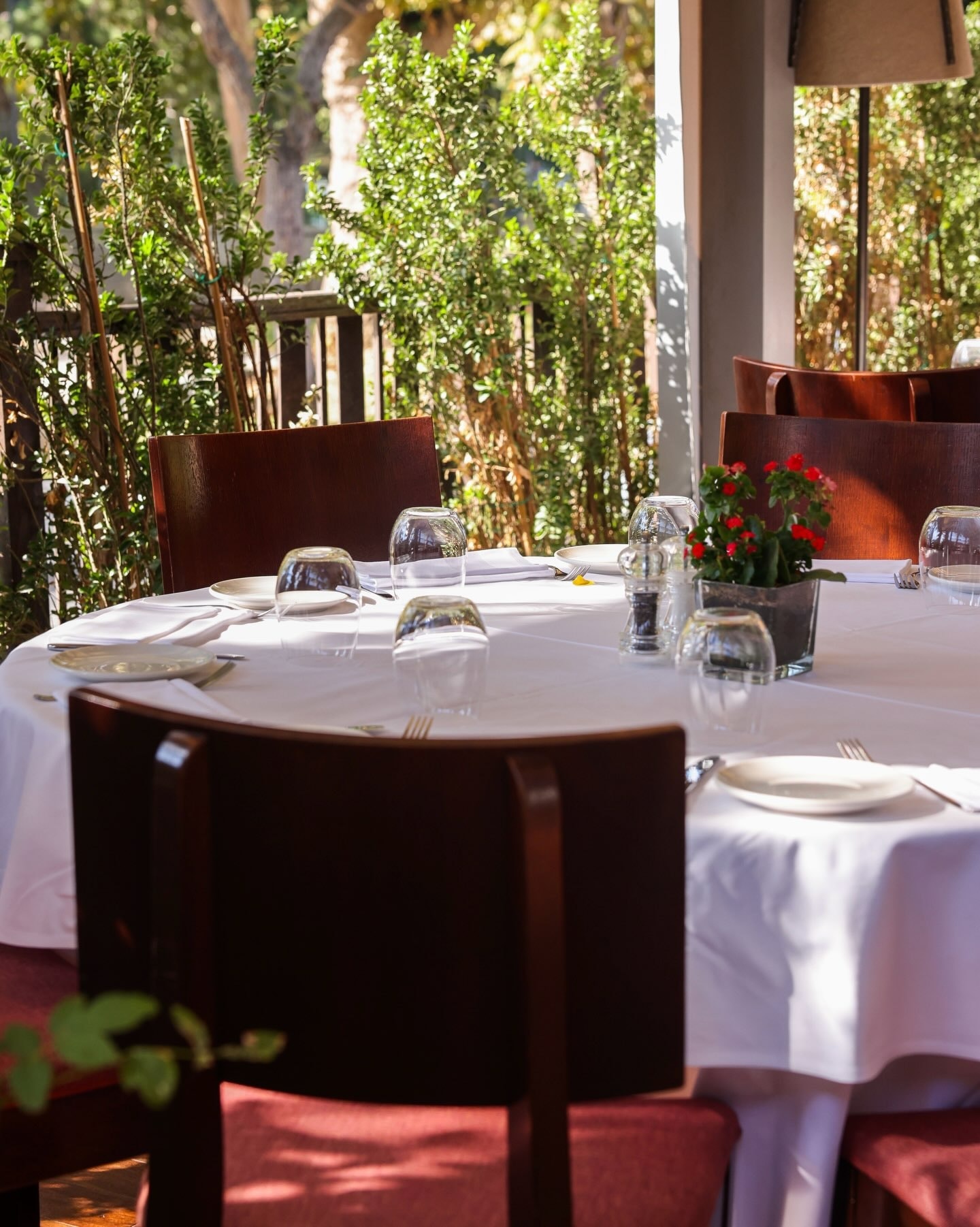 Şans Restaurant restoranının iç mekânı ve atmosferi