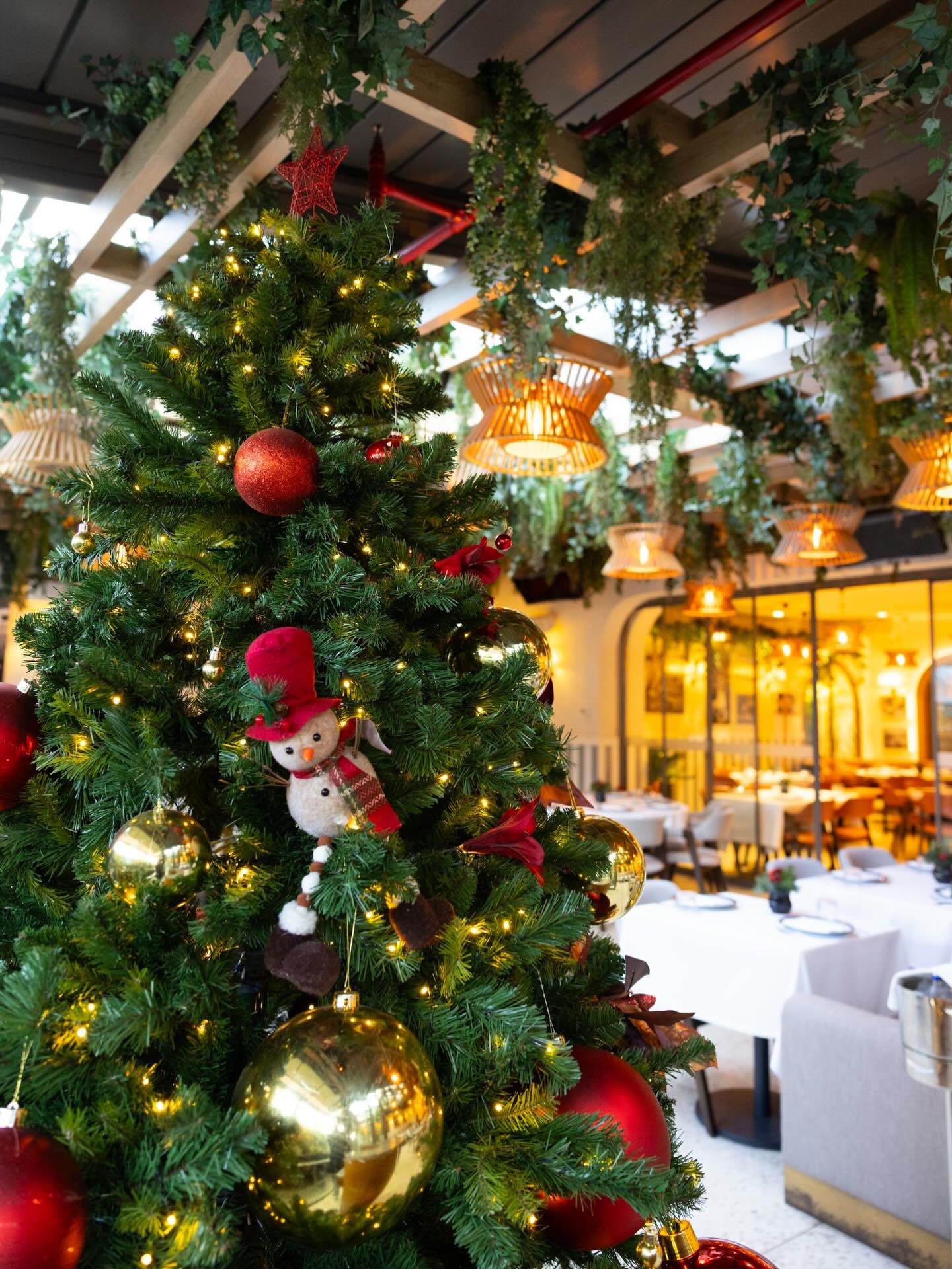 The dining atmosphere at Serafina Kemer Country