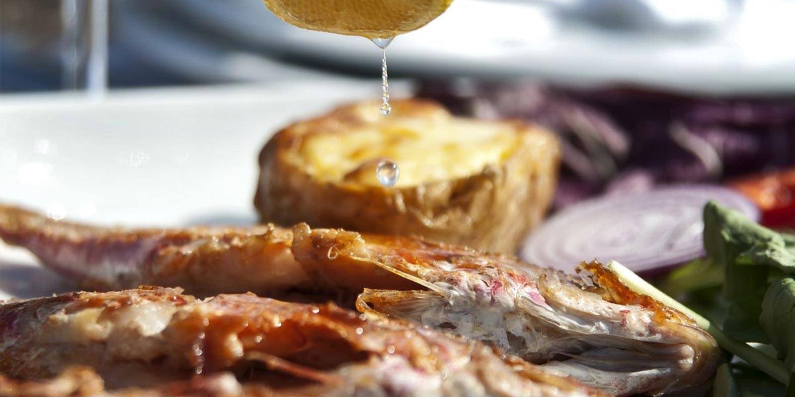 Food and atmosphere at Sur Balık Cihangir