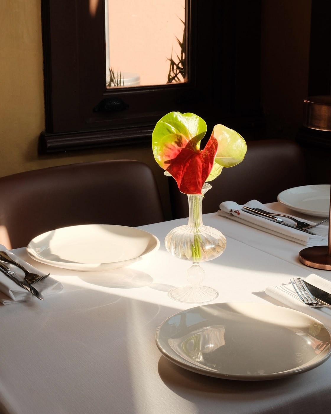A carefully prepared dish from Tam Ocakbaşı