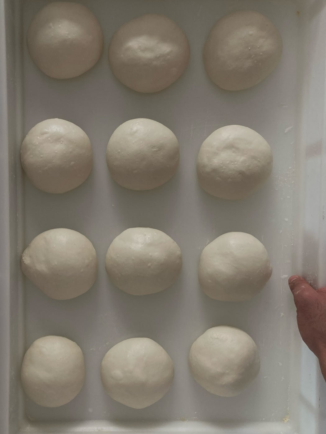 Tarantella Pizza Napoletana mutfağından özenle hazırlanmış bir lezzet