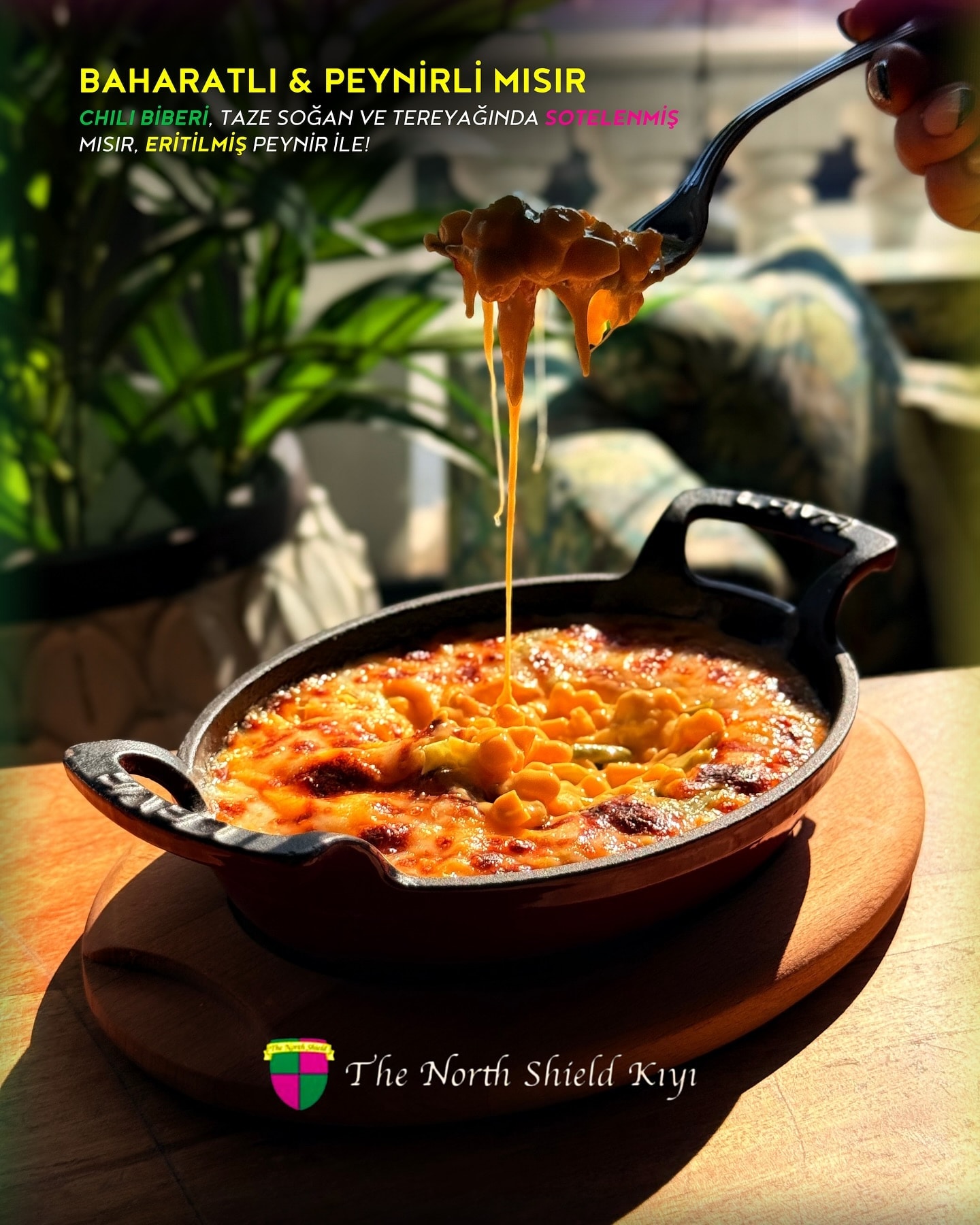 A carefully presented dish from The North Shield Kıyı