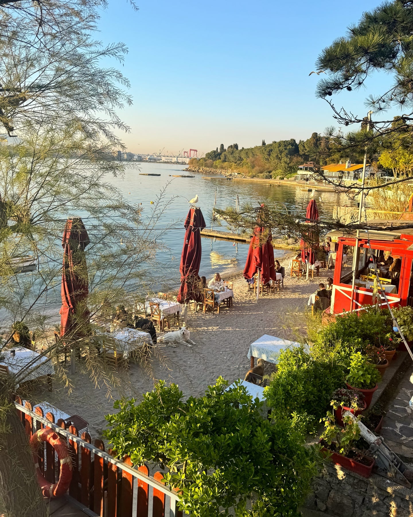 Tuzla Yat Kulübü: the daylight-filled dining room