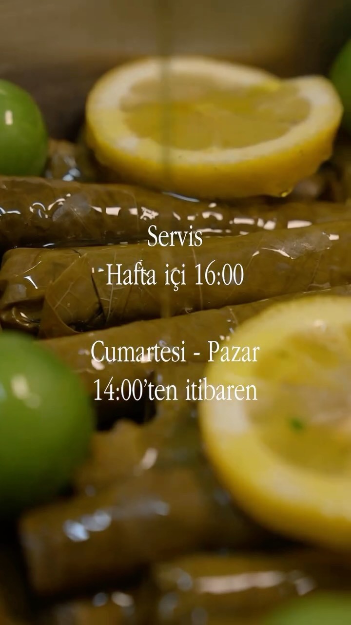 A carefully presented dish from Zevk Lokantası